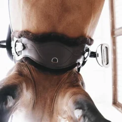 Kentucky Horsewear - Sangle anatomique courte marron