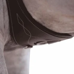 Kentucky Horsewear - Sangle anatomique marron