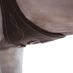 Kentucky Horsewear - Sangle anatomique noir