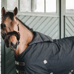 Kentucky Horsewear - Summer BIB Protection de poitrail/garrot noir