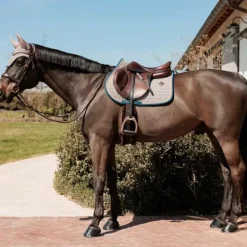 Kentucky Horsewear - Tapis de selle pied de poule bordeaux/ navy