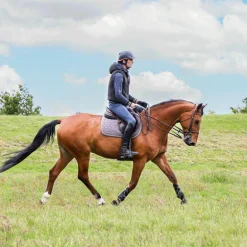 Kentucky Horsewear - Tapis de selle Laine gris