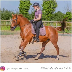 Kentucky Horsewear - Tapis de dressage Velvet Parme