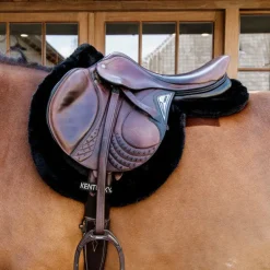 Kentucky Horsewear - Tapis de hunter mouton noir