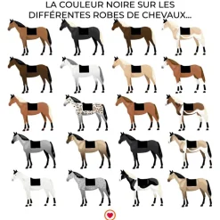 Kentucky Horsewear - Tapis de dressage Skin Friendly noir