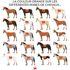 Kentucky Horsewear - Tapis de dressage Velvet Orange