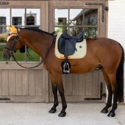 Kentucky Horsewear - Tapis de dressage Velvet Printing cubes colorfull