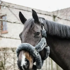 Kentucky Horsewear - Têtière pour licol de transport mouton gris