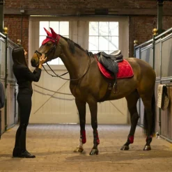 Lami-cell - Guêtres et protège-boulets Elite rouge
