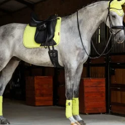 LeMieux - Bandes de polo Classic kiwi (x4)