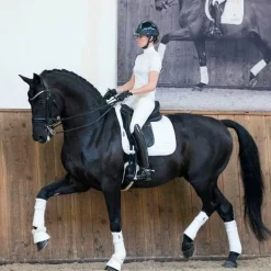 LeMieux - Bandes de polo Loire Blanc (x4)