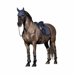 LeMieux - Bonnet pour chevaux Elite marine