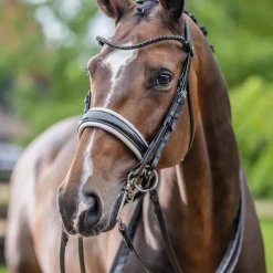 LeMieux - Bride Kudos noir/ blanc