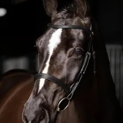 LeMieux - Bridon Arika Cavesson noir/ argent