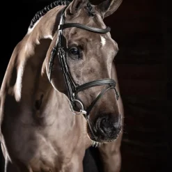 LeMieux - Bridon Arika Flash noir/ argent