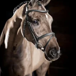 LeMieux - Bridon Arika Flash noir/ argent