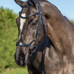 LeMieux - Bridon Arika muserolle basse noir/ argent