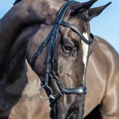 LeMieux - Bridon Arika muserolle basse noir/ argent