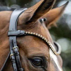 LeMieux - Bridon de dressage Kudos Patent marron