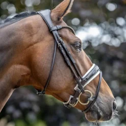 LeMieux - Bridon de dressage Kudos Patent marron/ blanc