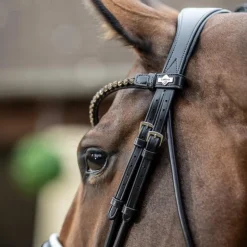 LeMieux - Bridon de dressage Kudos Patent marron/ blanc