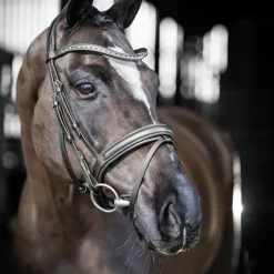 LeMieux - Bridon de dressage Arika noir/ argent