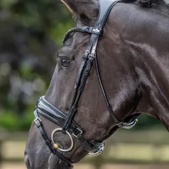 LeMieux - Bridon de dressage Kudos Patent noir