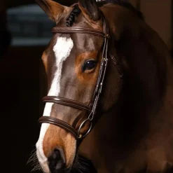 LeMieux - Bridon double muserolle Kudos havane/ laiton