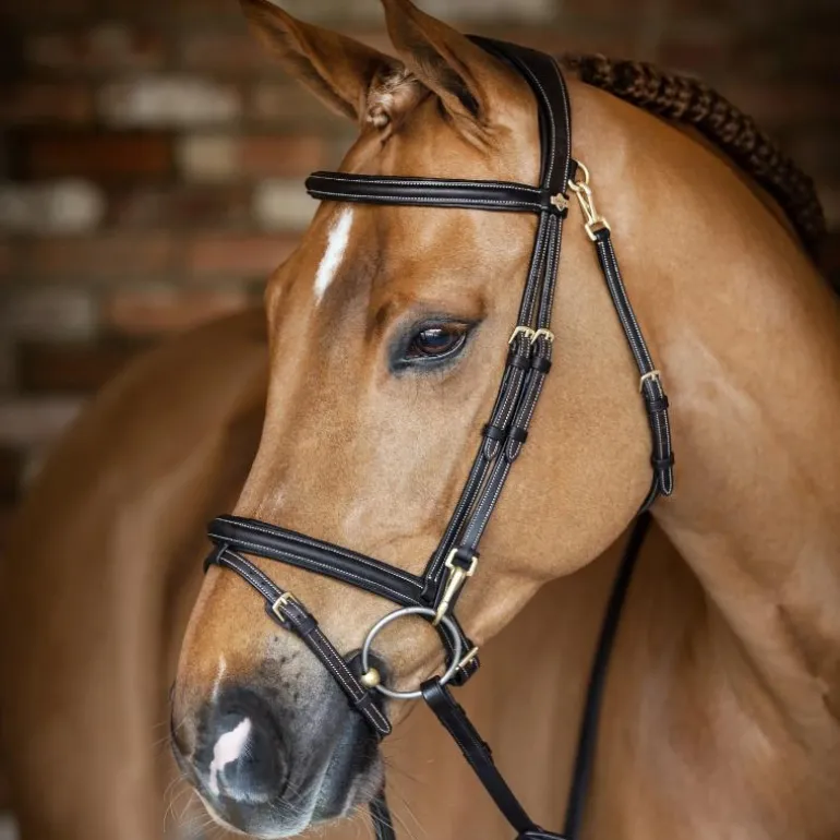 LeMieux - Bridon Kudos Work marron