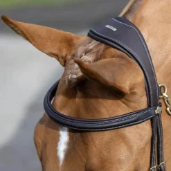 LeMieux - Bridon Kudos Work marron