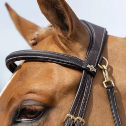 LeMieux - Bridon Kudos Work marron