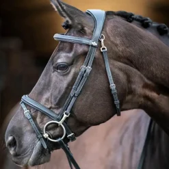 LeMieux - Bridon Kudos Work noir