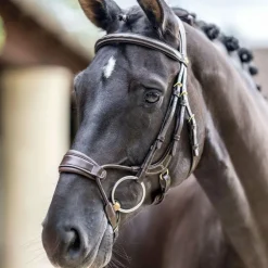 LeMieux - Bridon muserolle anatomique Kudos havane