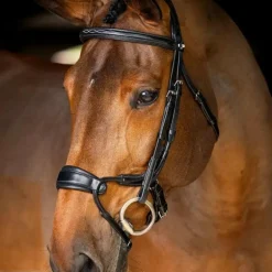LeMieux - Bridon muserolle anatomique Kudos noir
