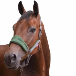 LeMieux - Ensemble licol + longe Vogue gris/ vert