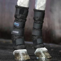 LeMieux - Guêtres de froid Arctic noir x2