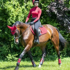 LeMieux - Guêtres fermées Grafter rouge x2