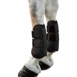 LeMieux - Guêtres ouvertes tendons Capella noir