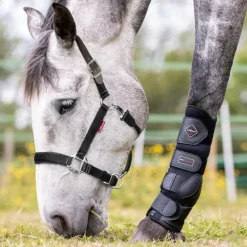 LeMieux - Licol Break Away noir