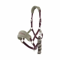 LeMieux - Licol et longe Vogue damson