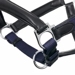 LeMieux - Licol pour chevaux Capella marine