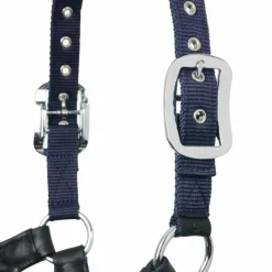 LeMieux - Licol pour chevaux Capella marine