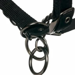 LeMieux - Licol pour chevaux ProSafe noir