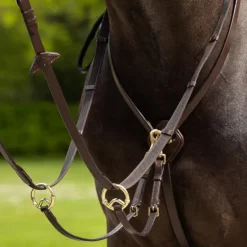 LeMieux - Martingale à anneaux Kudos havane/ laiton