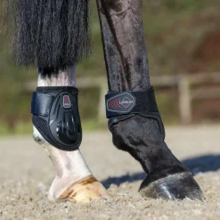 LeMieux - Protège-boulets Derby Projump noir