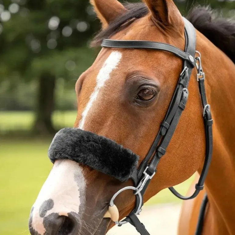 LeMieux - Protège-muserolle en laine Simuwool noir