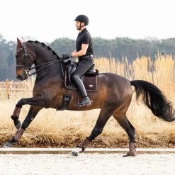 LeMieux - Tapis de dressage Puissance Suede Square marron