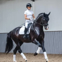 LeMieux - Tapis de dressage Square Coton blanc