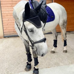 LeMieux - Tapis de dressage Loire Classic Square Ink Blue