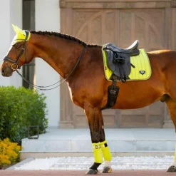 LeMieux - Tapis de dressage Loire Classic Square kiwi